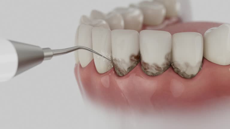 Reliable Dental contractor in Braddock, VA by Dentist Open Now